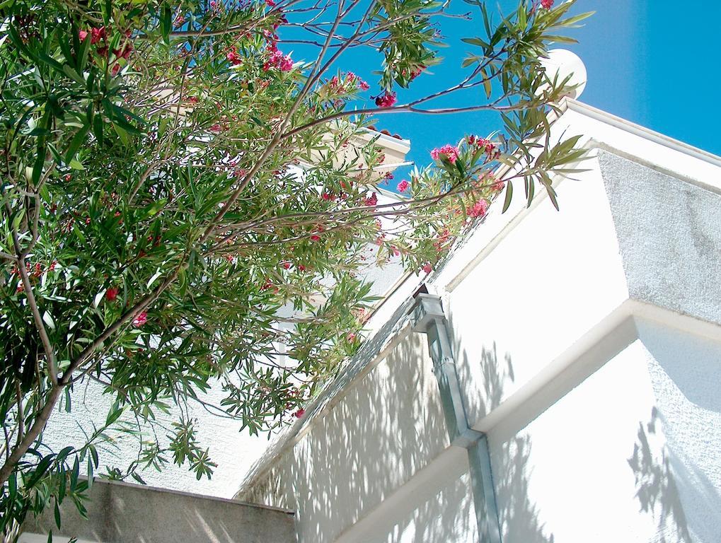 Villa Blanka Donji Okrug  部屋 写真